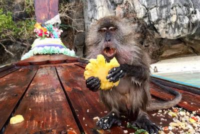 Private Custom Sunset Full Day Experience  Private Custom Sunset Full Day Experience