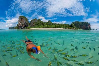 Phi Phi Islands Half Day Tour From Phi Phi by Big Boat  Phi Phi Islands Half Day Tour From Phi Phi by Big Boat