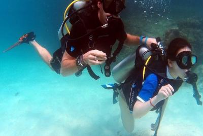 Half-Day PADI Discover Scuba Diving from Koh Phi Phi Half-Day PADI Discover Scuba Diving from Koh Phi Phi