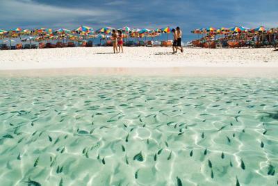  Khai Island Half Day Tour by Speedboat from Phuket