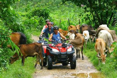 Phuket ATV Bike Tour