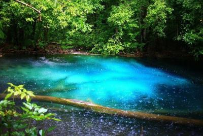 Private Customized Tour with Driver in Krabi