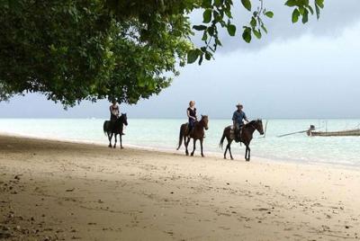 1 Hour Horse Riding Tour On The Beach Krabi 1 Hour Horse Riding Tour On The Beach Krabi