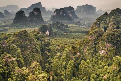 Full Day Jungle tour With Emerald Pool, Hot Spring and Tiger Temp