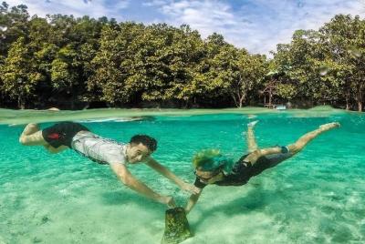 The Wonders of Thailand's Last Lowland Rainforest 