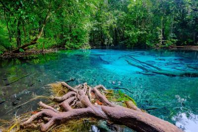 A Natural Discovery of Scenic Krabi A Natural Discovery of Scenic Krabi