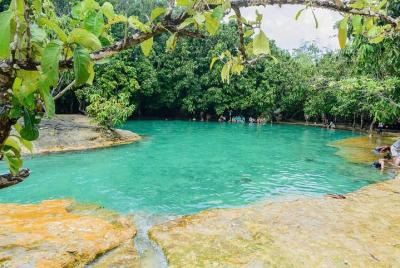 Krabi jungle Tour (Emerald pool,Hot spring waterfall, Tiger cave) Krabi jungle Tour (Emerald pool,Hot spring waterfall, Tiger cave)