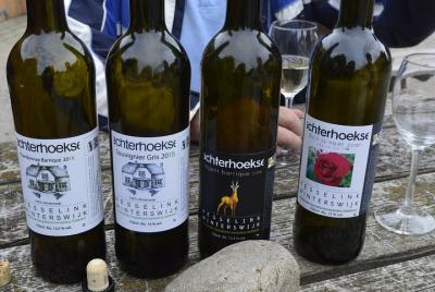 Amsterdam Award-Winning Dutch Wine and Cheese Tasting 