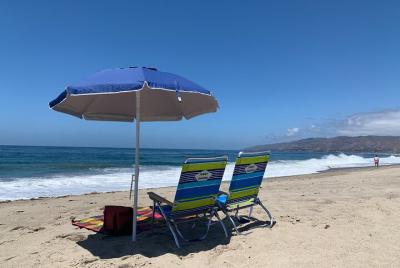 Private LA Coast Tour and Beach Day/Scenic Hike: Venice, Santa Mo Private LA Coast Tour and Beach Day/Scenic Hike: Venice, Santa Mo