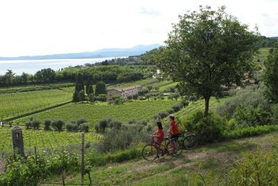 Verona and Lake Garda E-bike Tour Verona and Lake Garda E-bike Tour