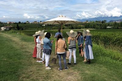 Visit and wine tasting at Tenuta La Cà Visit and wine tasting at Tenuta La Cà