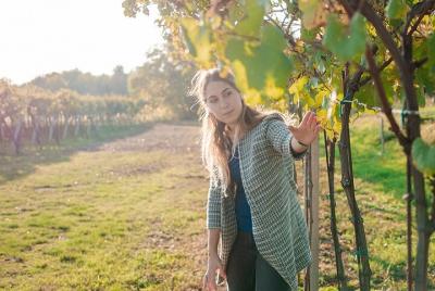Amarone Wine Tour Amarone Wine Tour