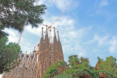 Sagrada Familia Morning Hours Tours