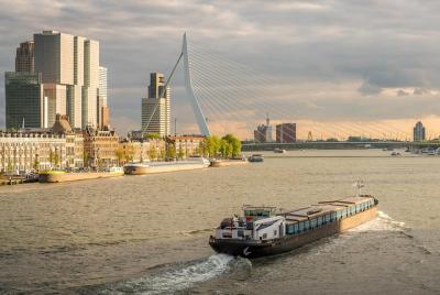 Tour en español a Rotterdam y La Haya Tour en español a Rotterdam y La Haya