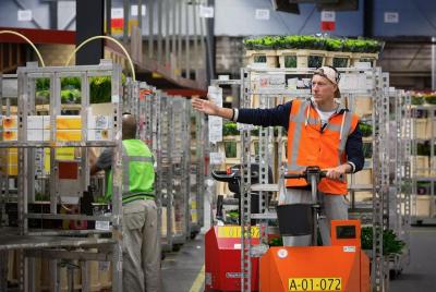 Royal Flower Auction - Small Public Tour from Amsterdam