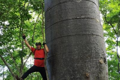Bicycle tour: Bosque de los Gigantes - La Esperanza - from Guayaq Bicycle tour: Bosque de los Gigantes - La Esperanza - from Guayaq
