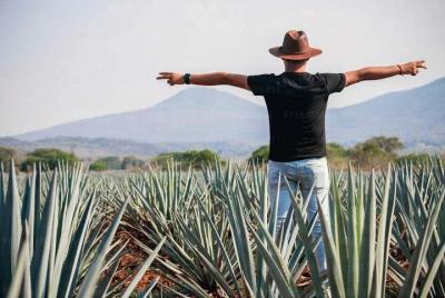 Tequila Tour through the Blue Agave Fields from Guadalajara Tequila Tour through the Blue Agave Fields from Guadalajara