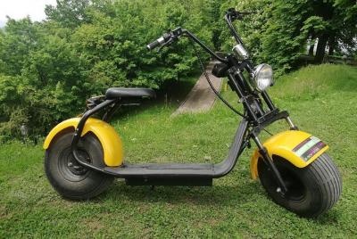 Rent Electric Harley Scooter