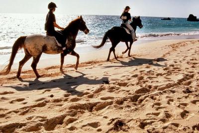 Krabi Horse Riding Program Krabi Horse Riding Program