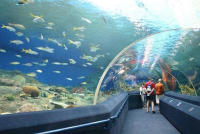 Underwater World at Pattaya Admission Ticket with Return Transfer Underwater World at Pattaya Admission Ticket with Return Transfer