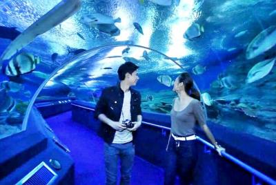 Discover Pattaya Underwater World with FREE Hotel Pickup 