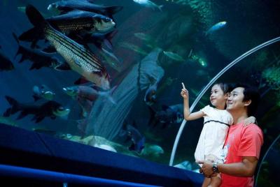 Pattaya Underwater World Admission Ticket with Return Transfer Pattaya Underwater World Admission Ticket with Return Transfer