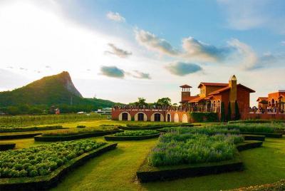 Silverlake Vineyard at Pattaya with Private Transfer Silverlake Vineyard at Pattaya with Private Transfer