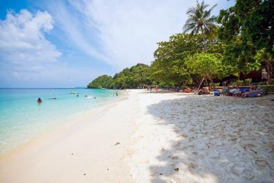 Phuket Coral Island Tour with Lunch