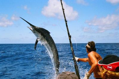 Big Game Fishing Full-Day Tour