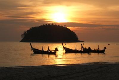 Kata Beach Night Diving Kata Beach Night Diving
