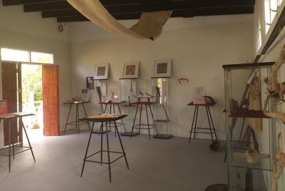 'Ilaheva Private Museum Tour with Tongan Medicine & Tongan Beauty