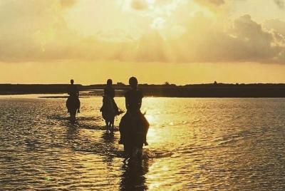 Discovery walk (horse, camel, carriage)