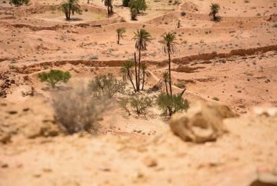 The three desert and mountain oases