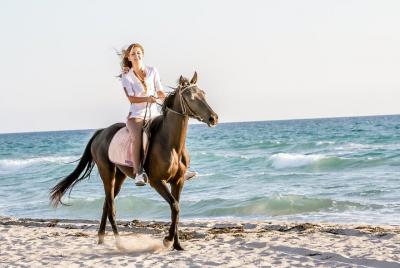 Horse Riding at the Golden Sandy Beach of Antalya Horse Riding at the Golden Sandy Beach of Antalya