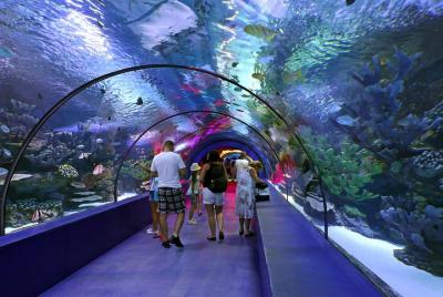 Antalya Aquarium admission with optional Antalya City Tour and Du Antalya Aquarium admission with optional Antalya City Tour and Du