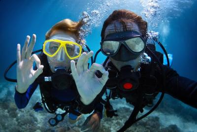 Scuba Diving Tour in Bodrum Scuba Diving Tour in Bodrum