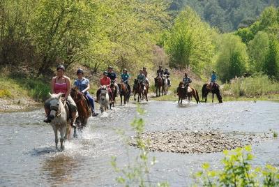 Horse Riding From Fethiye