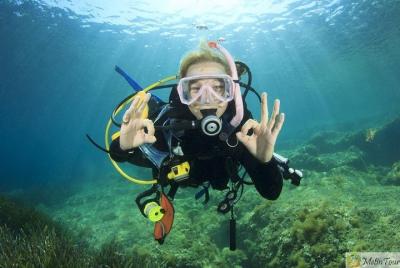 Scuba Diving for Beginners with Lunch Scuba Diving for Beginners with Lunch