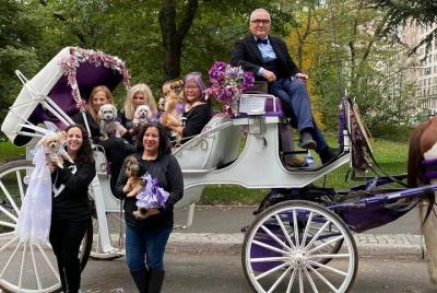 NYC Central Park Horse and Carriage Ride: Medium Ride 30 min