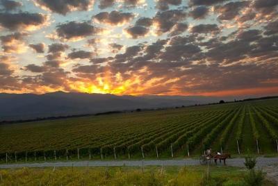 One-day trip to Kakheti (Wine Tour)