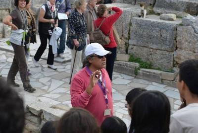 Private Ephesus and artemis Tour from Port Izmir 100% Satisfactio