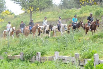 Horse Riding in Kemer 