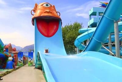 Dolusu Waterpark Ticket Dolusu Waterpark Ticket