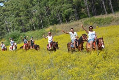 Marmaris Horse Safari