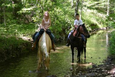 Horse Riding in Marmaris National Park Horse Riding in Marmaris National Park