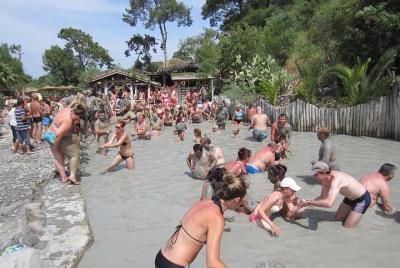 Dalyan Day Trip from Bodrum to Dalyan River Cruise, Iztuzu Beach 