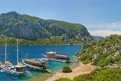 Camellia Island Boat Trip