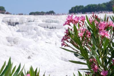 Pamukkale Day Tour from Selcuk Pamukkale Day Tour from Selcuk
