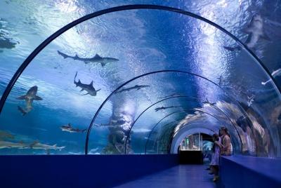 Aquarium & Face2Face Wax Museum from Side Aquarium & Face2Face Wax Museum from Side