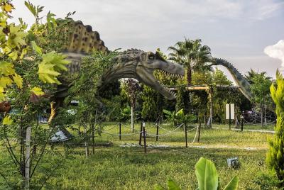 Discovery Theme Park with Transfer from Alanya